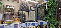 We stock a nice range of both glass and acrylic enclosures for inverts tarantulas mantis